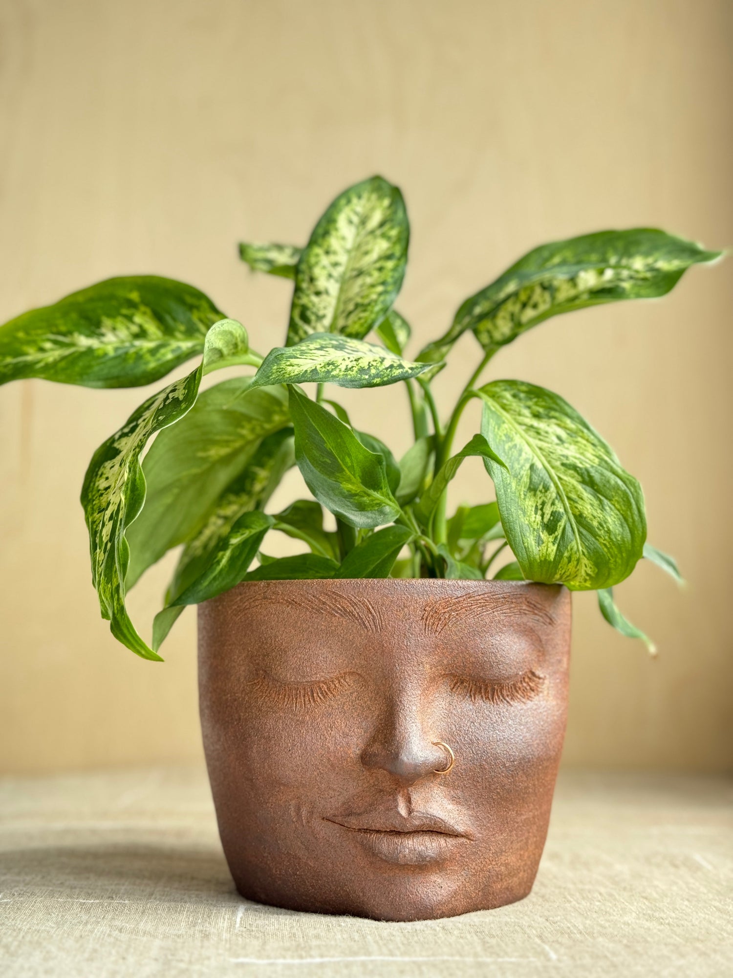 Hand Sculpted Face Pots